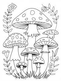 Explore Your Creativity with a Mushroom Coloring Book