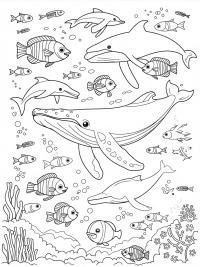 Discover the Joy of Sea Coloring Pages for Kids and Adults