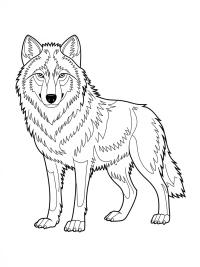 Wolf Coloring Sheet: Unleash Your Creativity with Fun and Learning