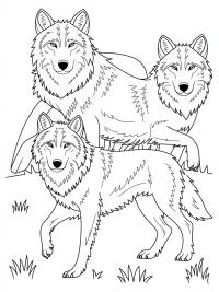 Discover Creativity with Wolf Coloring Pages