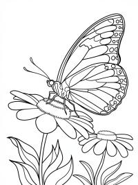 Butterfly Flower Drawing Colour: A Guide to Vibrant Art