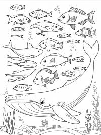 Explore the World of Fish Coloring Images: Fun for All Ages