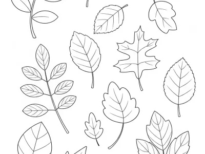 Beautiful Autumn Leaf Designs Coloring Page