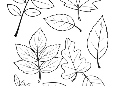 Enchanting Autumn Leaf Designs Coloring Page