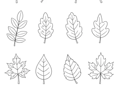 Gorgeous Festive Autumn Leaf Designs Coloring Page