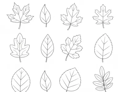 Magical Autumn Leaf Designs Coloring Page