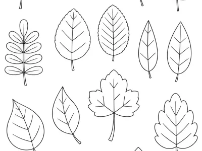 Outstanding Autumn Leaf Designs Coloring Page